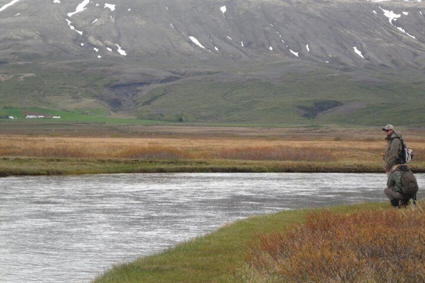 Day Trips from Reykjavik - Go Fishing Iceland