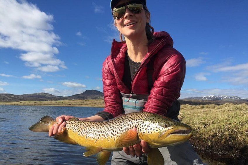 Day Trips from Reykjavik - Go Fishing Iceland