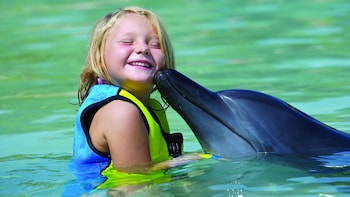 Dubai Dolphin Experience & Aquaventure Waterpark