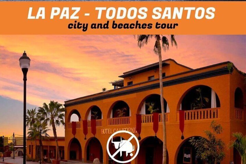 Todos Santos town and beaches tour