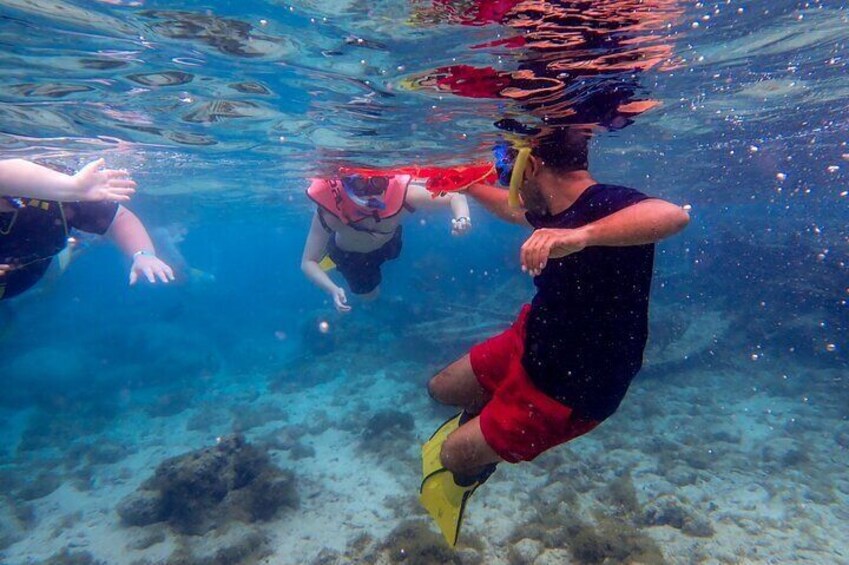Guide it snorkeling,on the world second largest coral reef.
