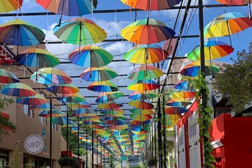 Umbrella Street