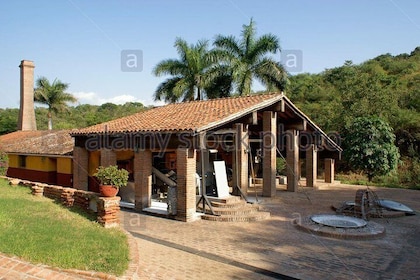 Half-Day Tour to Tequila Factory and Villages from Mazatlan