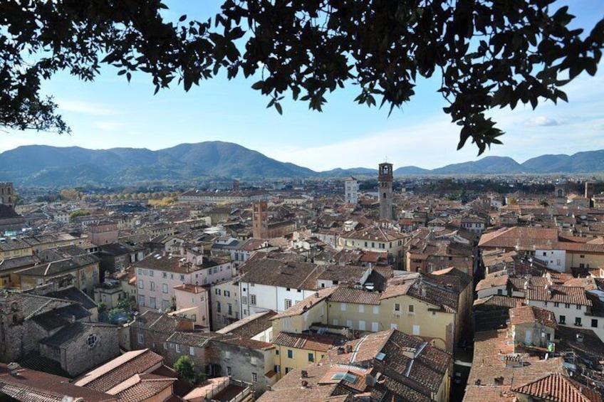 The medieval walled town of Lucca