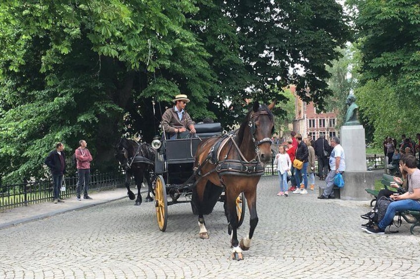 Round-Trip Shuttle Service from Zeebrugge to Bruges