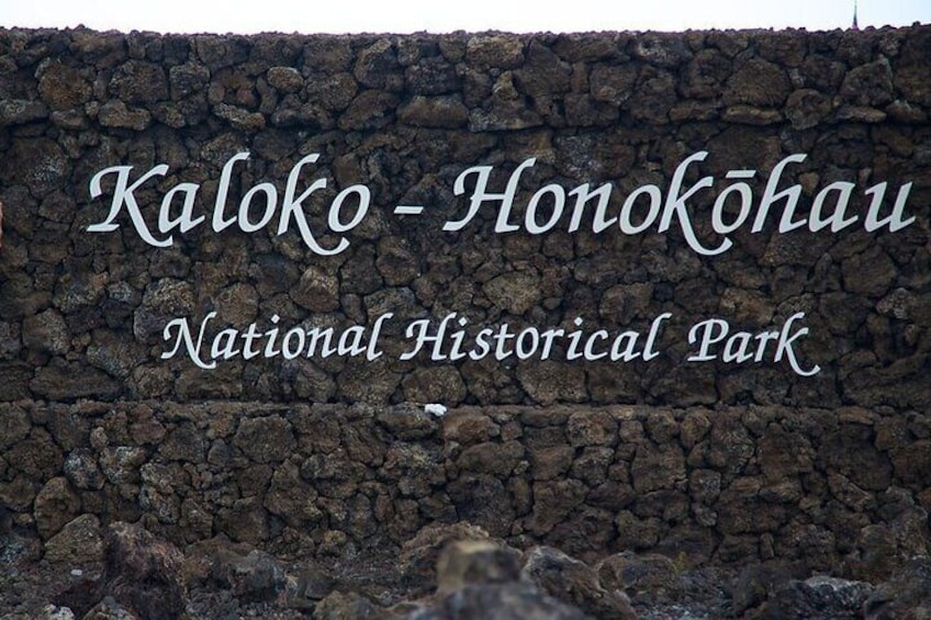 Kona Shore Excursion: Hawaiian Sea Turtles , Historic Kona & Coffee