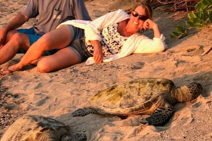 Taking pictures with the Hawaiian Sea Turtles Called Honu in Hawaii