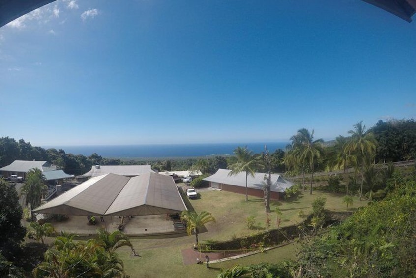 Kona Coffee farm, sampling coffee and tea. Great view of the ocean.