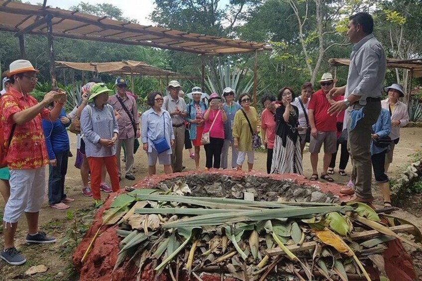 Tequila Tour