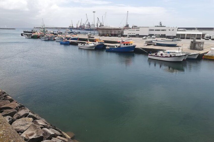 Walking Tour through the historic center of Ponta Delgada