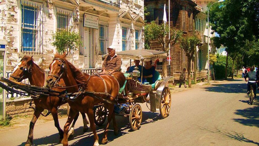 Horse-down carriage tour of Büyük Ada Island in Turkey 
