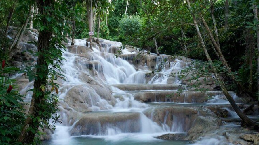 Dunn's River Falls