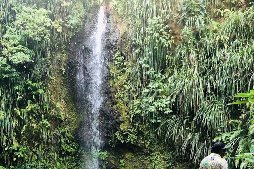 Private All Inclusive Speedboat to Soufriere with Lunch, Mud Bath & Waterfall