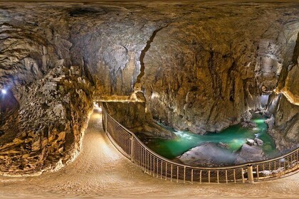 Lipica Stud Farm and Skocjan Caves from Piran or Portoroz or Izola