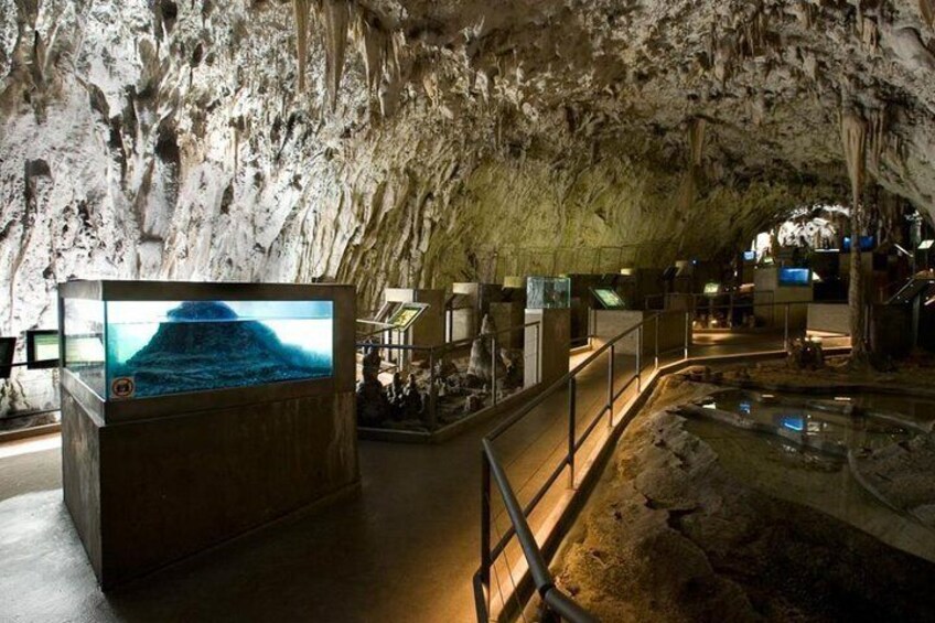 Postojna Cave & Predjama Castle - Small Group Tour from Trieste