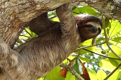 Exotic Landscapes of Costa Rica