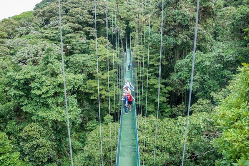 Exotic Landscapes of Costa Rica