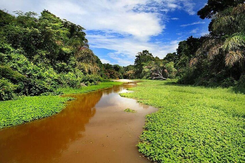 13 days: Jungle and Beach in Costa Rica