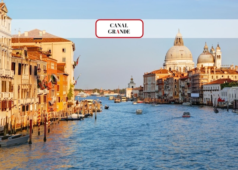 Venice: Grand Canal by Gondola with Commentary