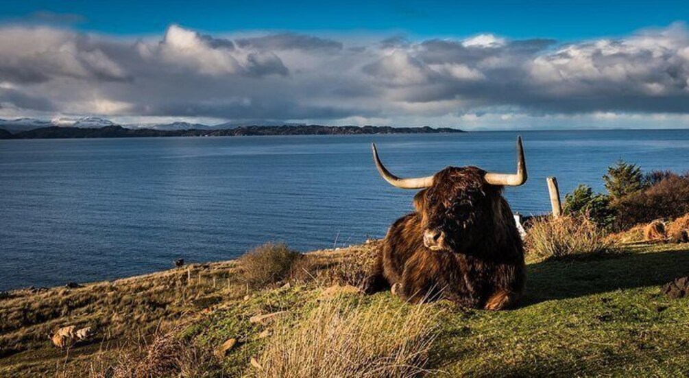 Torridon