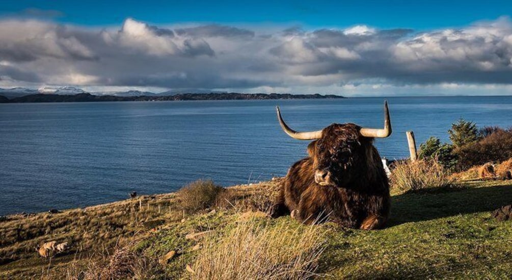 Torridon