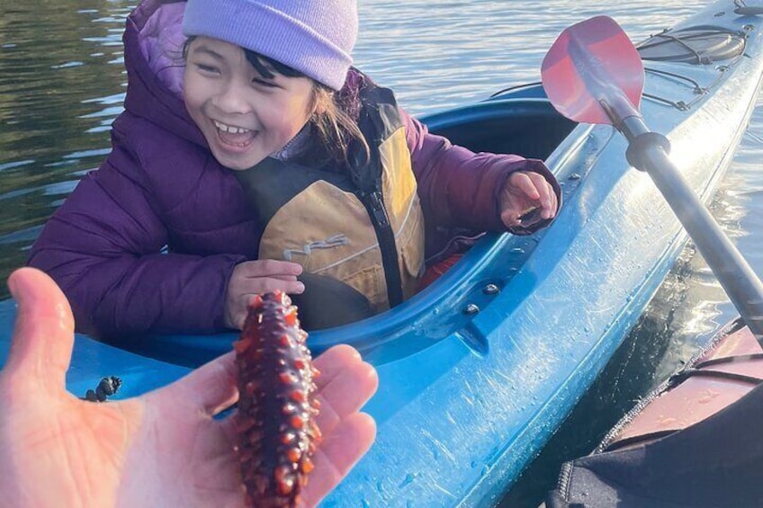 Kids love the intertidal creatures!