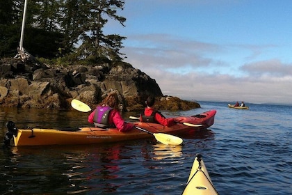 Ketchikan Kayak Eco-Tour