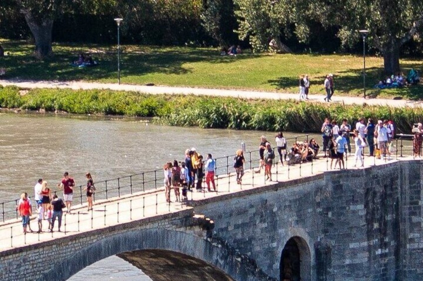 A Historical Journey with Wine Tasting in Avignon: Tour from Nice