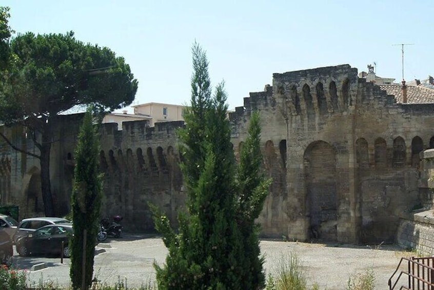 A Historical Journey with Wine Tasting in Avignon: Tour from Nice