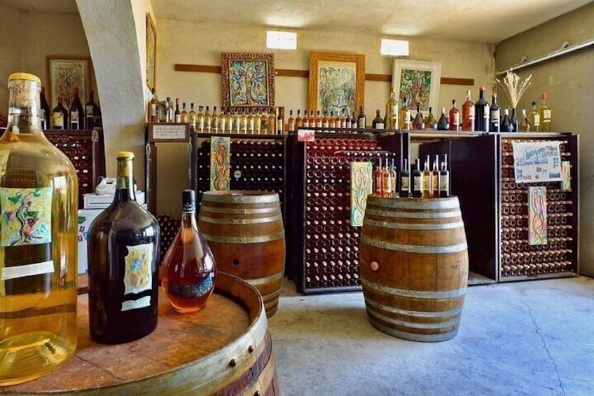 A Historical Journey with Wine Tasting in Avignon: Tour from Nice