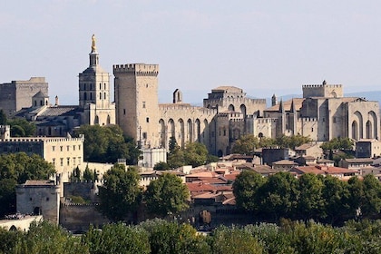 A Historical Journey with Wine Tasting in Avignon: Tour from Nice