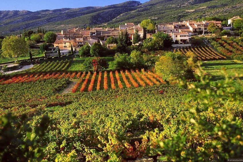 excursion to Moustiers Saint Marie, photographer to the Lavender Fields,