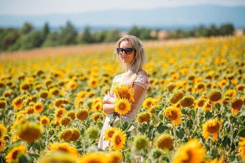 uide to Cannes, photographer to the Lavender Fields, need a guide in Provence, book an excursion to Provence, Excursion to Provence, excursion from Cannes to the Lavender Fields, excursion to the Verd