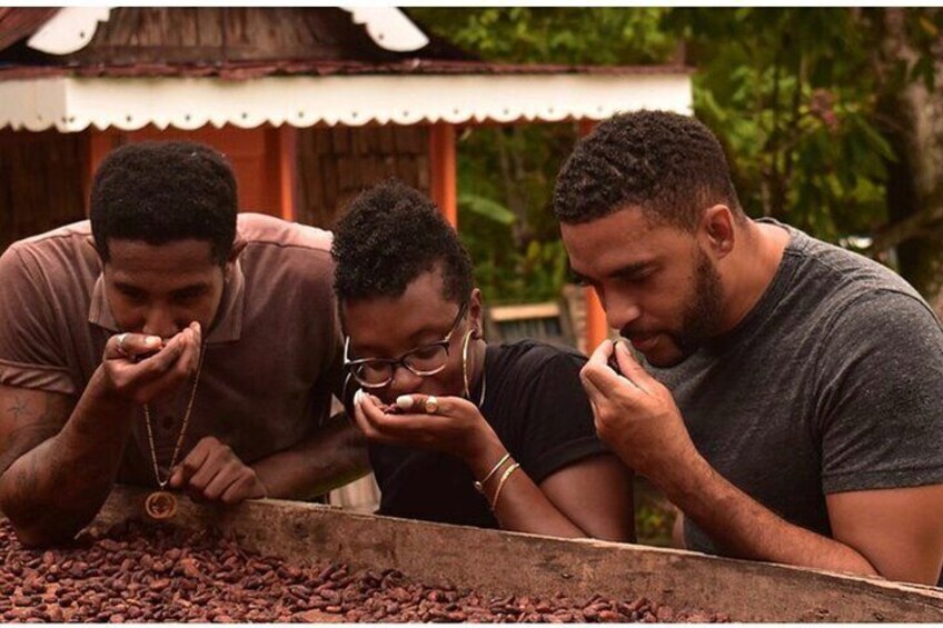 The proceeds of Chocolate making