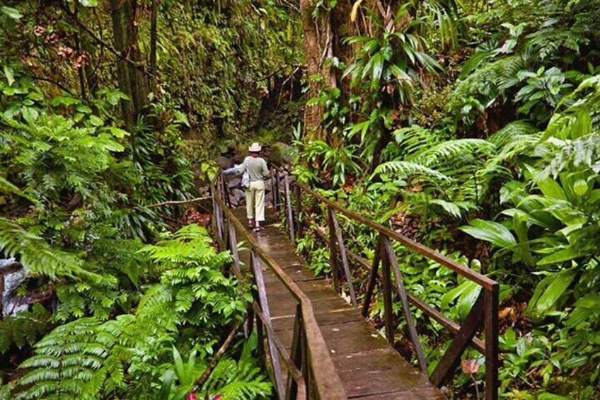 Saint Lucia UNIQUE CULTURAL THERAPY Experience 