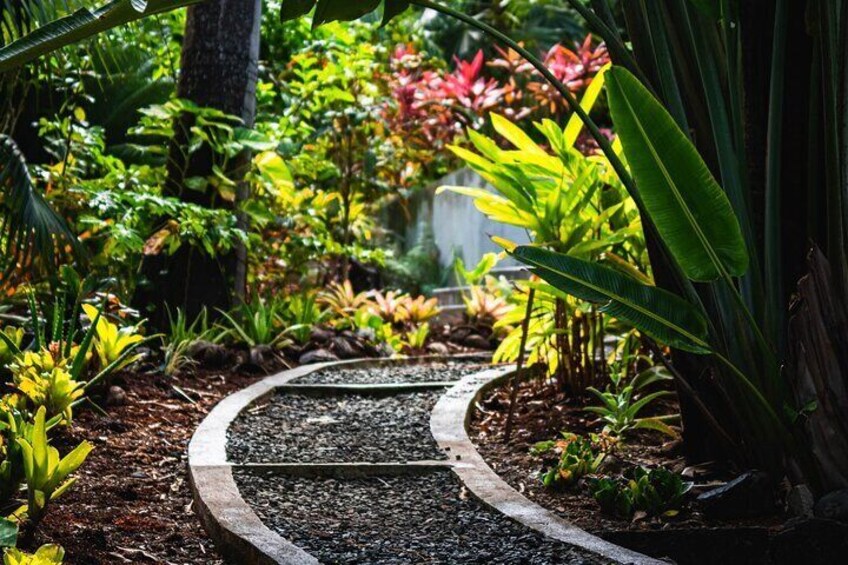 Walk in the nature park.