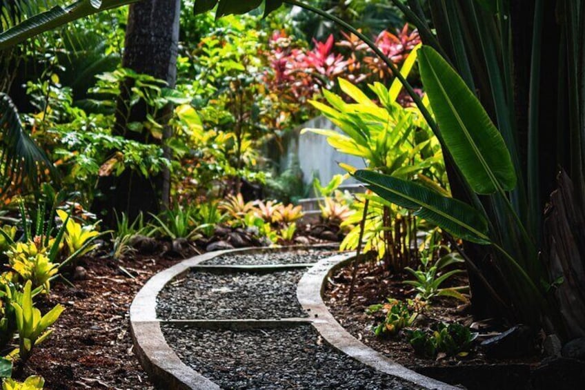 Walk in the nature park.