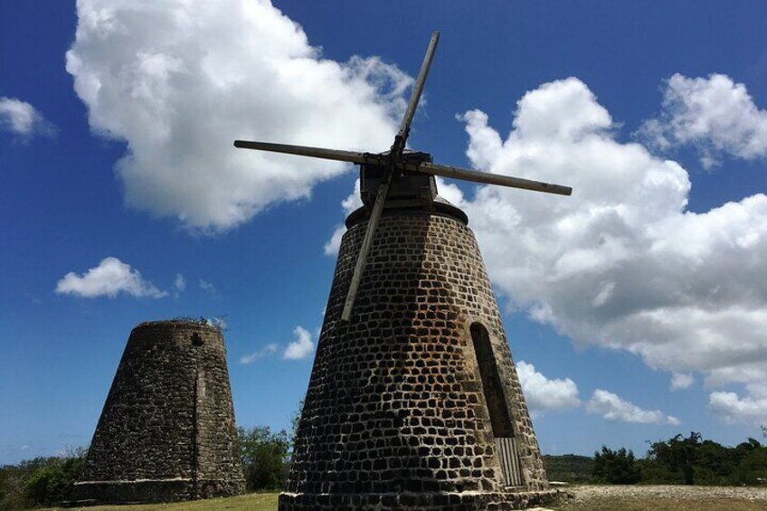 Half-Day Tour: Island Safari Adventure from St. John's