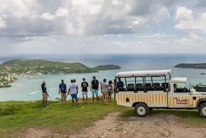 Half-Day Tour: Island Safari Adventure from St. John's