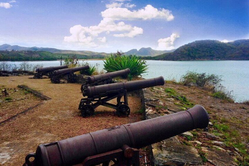 Guns at Fort James