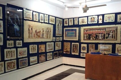 Papyrus Manufacturing Tour and learn Papyrus making in Egypt