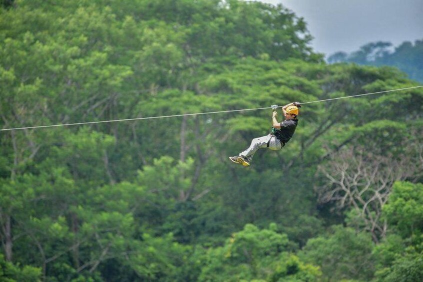 Zipline Canopy Tour & Tortuguero Canal Shore Excursion from Puerto Limon Costa Rica