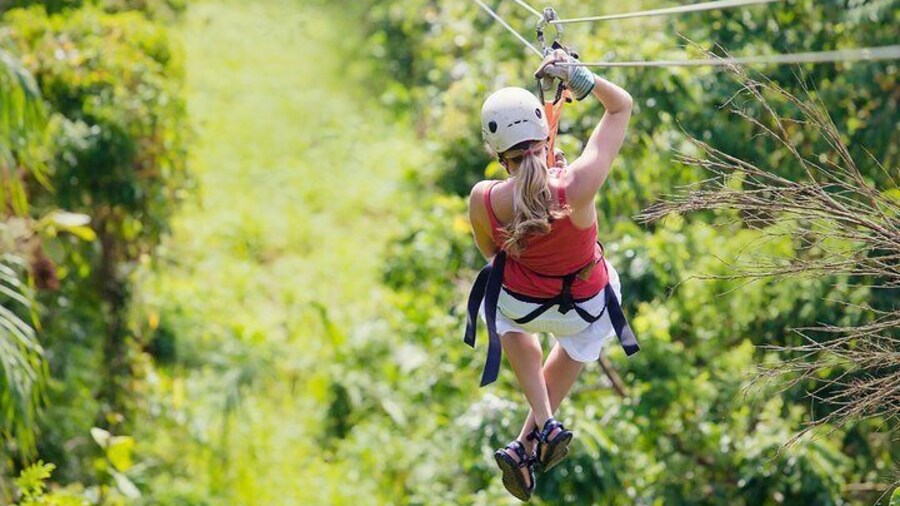 Zipline Canopy Tour & Tortuguero Canal Shore Excursion from Puerto Limon Costa Rica