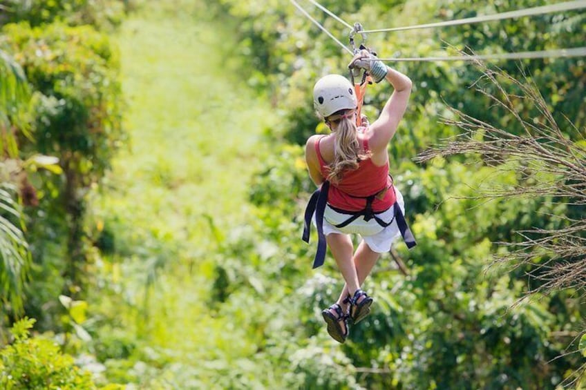 Zipline Canopy Tour & Tortuguero Canal Shore Excursion from Puerto Limon Costa Rica