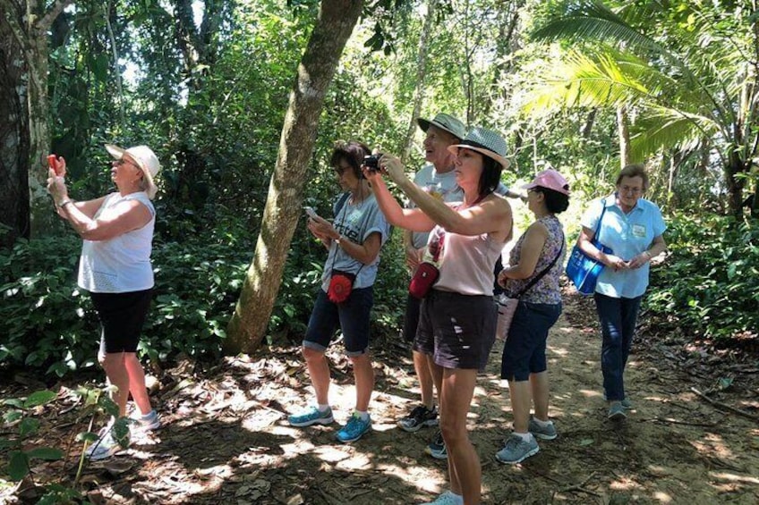 Nature History Tour. Tortuguero Canal and Cahuita National Park Walk. Shore Excursion from Puerto Limon