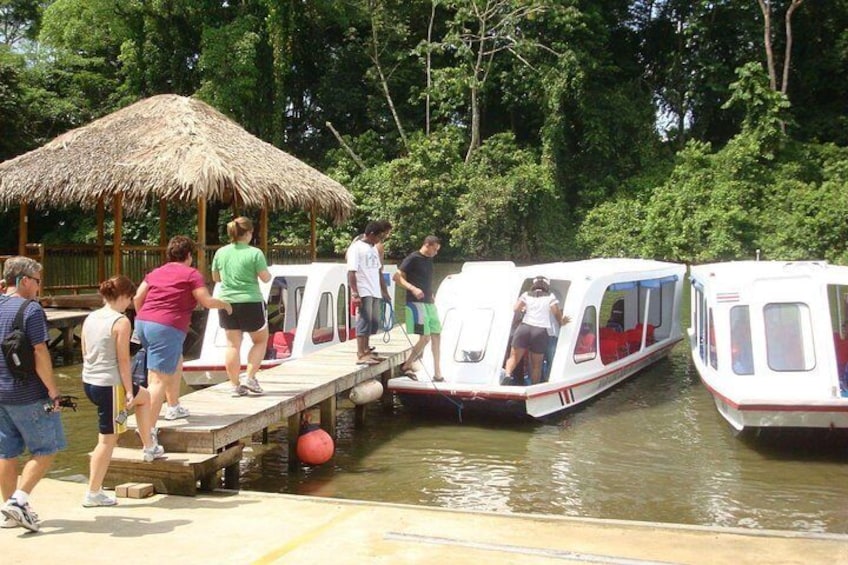 Nature History Tour. Tortuguero Canal and Cahuita National Park Walk. Shore Excursion from Puerto Limon
