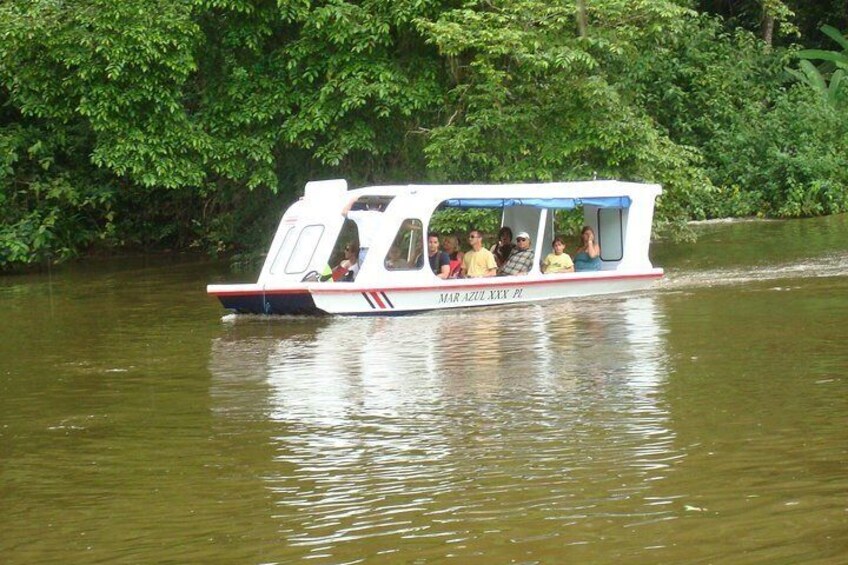 Nature History Tour. Tortuguero Canal and Cahuita National Park Walk. Shore Excursion from Puerto Limon