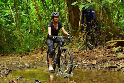 Puntarenas Shore Excursion: Rainforest Mountain Bike & Boat Tour