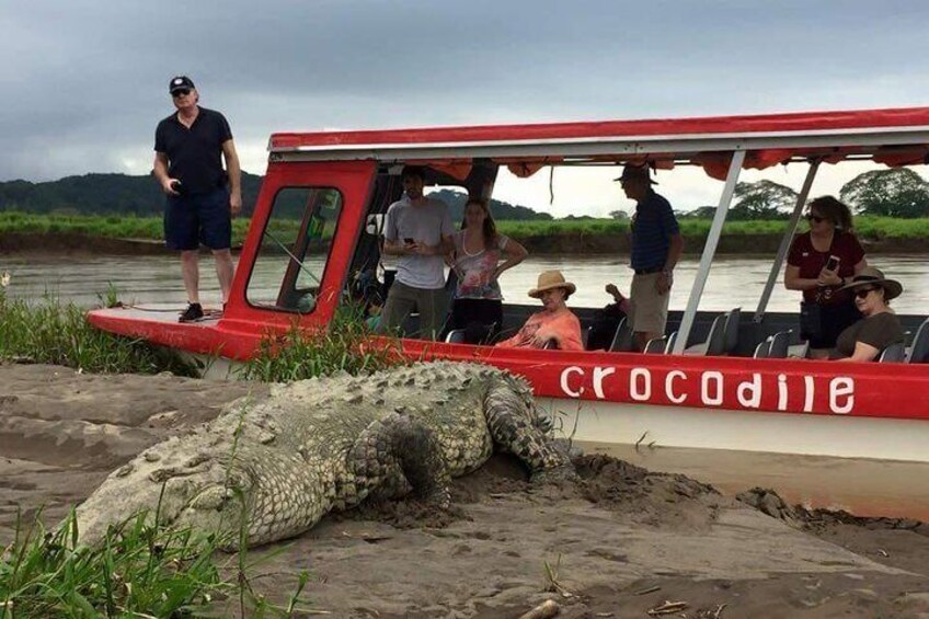 Rainforest Skywalk and Tarcoles River Eco Cruise Tour Shore Excursion By Greenway Tours