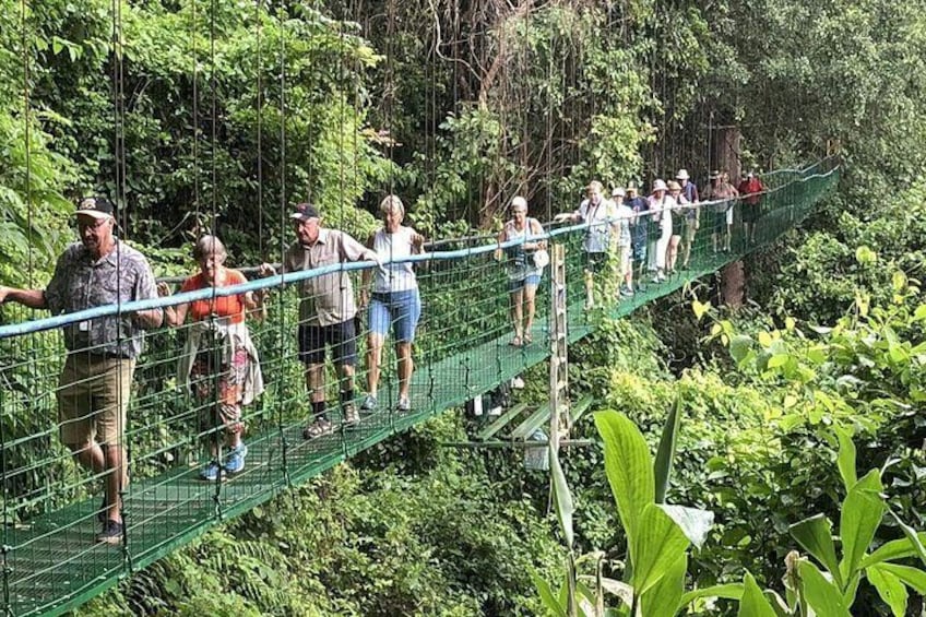 Rainforest Skywalk and Tarcoles River Eco Cruise Tour Shore Excursion By Greenway Tours